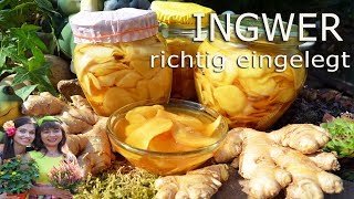 Ingwer eingelegt GARI selbstgemacht gesund und lecker [upl. by Aynotel229]