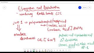 Chain Elongation and Fatty Acid Synthesis [upl. by Orling]