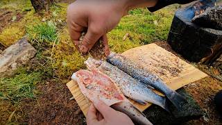 The PERFECT Smoked Fish in the Wilderness  Relaxing Cooking with ASMR [upl. by Hitchcock]