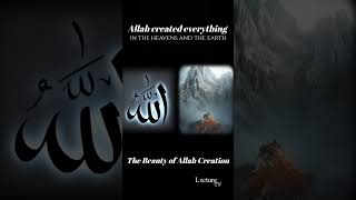 Allah created everything in the heavens and the earth [upl. by Asoj]