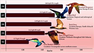 10 Fastest Birds in the World 2020 [upl. by Munniks]