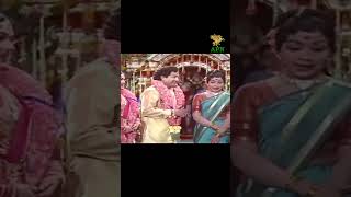 Thillana Mohanambal Movie Best Scene l Sivaji Ganesan  Padmini  Manorama  APN Films [upl. by Jeramie519]