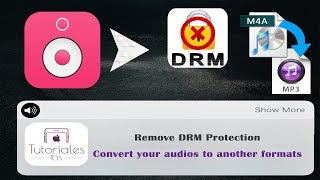 Elimina la protección DRM y Convierte archivos de audio a MP3 AAC y otros formatos [upl. by Symons]