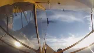 piper cub loops and wing overs [upl. by Rayford]