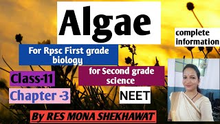 AlgaeClass11chapter3 forRpsc first grade biologyNEETSecond grade science by RES MONA SHEKHAWAT [upl. by Harpp]