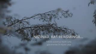 NEŽINAU KAS REIKŠMINGA [upl. by Nemra]