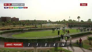 Live Hippodrome « MARRAKECH »  Courses du « 06102024 » [upl. by Laen712]