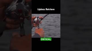 How to Retrieve a Lipless Crankbait by ​⁠EdwinEversfishing [upl. by Muirhead]