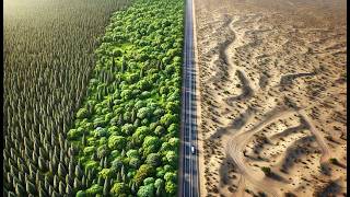 11 Incredible Projects Turning Lifeless Deserts Into Lush Forests [upl. by Elinnet]