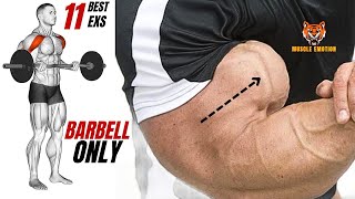 11 BEST BICEPS WORKOUT WITH BARBELL ONLY AT HOME TO GET BIGGER ARMS FAST [upl. by Dnaltiac]