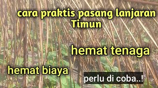 solusi lanjaran mentimun paling praktis hemat biaya dan tenaga [upl. by Niccolo352]