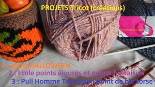 Projet Tutos Tricot 3 créations  Haul Action pelotes de laine [upl. by Enrico717]