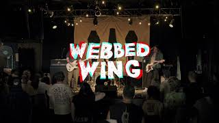 Webbed Wing  live at Real Art Tacoma 2022 [upl. by Esinev]