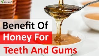 Benefit Of Honey For Teeth and Gums Diseases [upl. by Rebeh35]