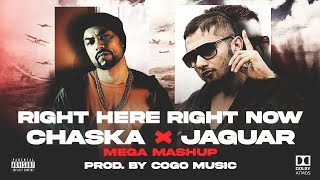 Right Here Right Now x Chaska x Jaguar  Full Song  Bohemia amp Yo Yo Honey Singh [upl. by Lorinda]