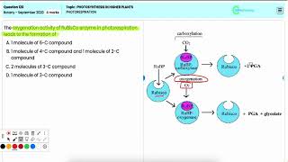 NEET 2020 Botany  Photosynthesis amp Photorespiration Key Concepts Q120 Analysis [upl. by Brigham235]