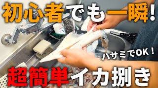 初心者必見！超簡単に一瞬でできるイカの捌き方のコツを教えます。 [upl. by Felicie]