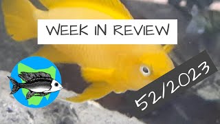 Week In Review 522023 [upl. by Felicidad]