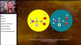 71 Protein Structure of Proteins [upl. by Marlow]