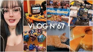 VLOG N°67 Trabajando en la Feria Gamer  Gato naranja  Cocinando Flan Casero [upl. by Joelly]