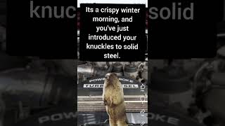 Punching knuckles in cold weather be like  ford f350 powerstrokediesel [upl. by Emia]