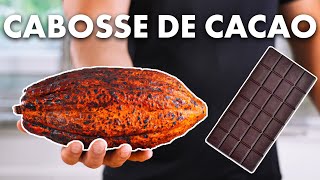 Quel Goût a Une Cabosse de Cacao 🍫 [upl. by Yhtak270]