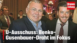 UAusschuss BenkoGusenbauerDraht im Fokus  kronetv NEWS [upl. by Echo]