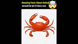 Crazy Facts About Animals 🐸🦘  Amazing Facts  Random Facts  Mind Blowing Facts in Hindi Shorts [upl. by Damarra]