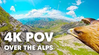 Breathtaking Eagle POV Flying Over The Alps in 4K [upl. by Wurster]