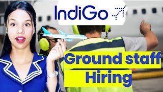 Indigo Ground Staff Hiring  Walkin Interview 2024  DateTimeLocation in detail groundstaff [upl. by Ellah172]