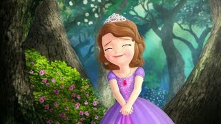 Sofia the First The Buttercups Movie Explained In HindiUrdu Summarized हिन्दी [upl. by Retsehc]