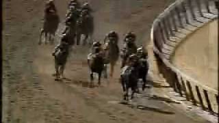 Victory Gallop  1998 Belmont Stakes [upl. by Eitteb]