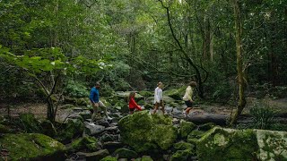 Discover an ECO Destination  NSW Central Coast [upl. by Billen]