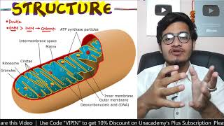 PC8L16 Mitochondria Structure and Functions  Cardiolipin  Oxysomes or F0F1 Particles [upl. by Meid654]