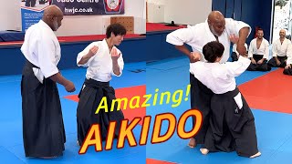 Amazing Aikido in the UK [upl. by Yesoj]