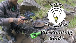 Can You Find GOLD Nuggets with a Pin Pointer [upl. by Irej801]