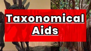 Taxonomical Aids  The living world  class 11 biology [upl. by Akienom52]