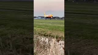 A300 dhl landing aviation popular views popular a300 subscribe [upl. by Iht]