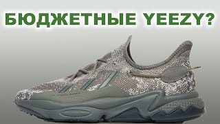 Вместо Yeezy  Обзор лимитированных кроссовок Adidas Ozweego [upl. by Arinaid]