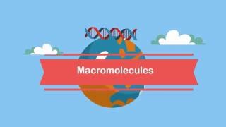 MacromoleculesA Beginners Guide [upl. by Britte890]