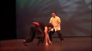 Grandmaster DocFai Wong Push Hands Demonstration 2015 [upl. by Oca]