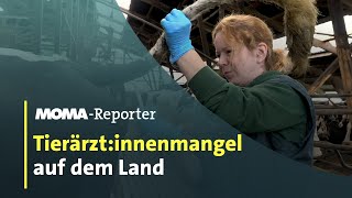 Tierärztinnenmangel auf dem Land  ARDMorgenmagazin [upl. by Lepley318]