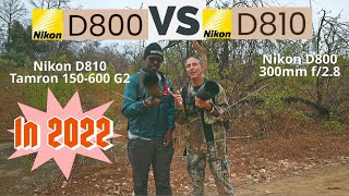 Nikon D810 vs D800 in 2022 Both still AMAZING PRO LEVEL DSLR Cameras [upl. by Kile]