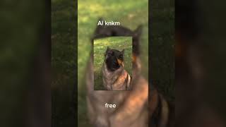 Like atsana😑🗿 keşfet köpek fancam free fypシ funny [upl. by Kcirtap]