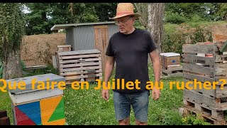 Multiplier ses colonies dabeilles très facilement en juillet [upl. by Cartan]