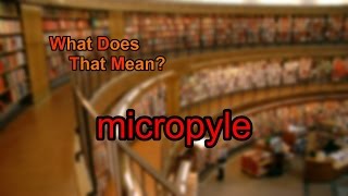 What does micropyle mean [upl. by Cristine]