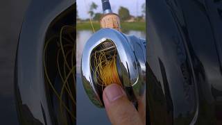 Antares DC 2021 ใจลอยเป็นเหตุ shot shots fishing fishingvideo shimanoreels ตกปลา shortvideo [upl. by Nivrem586]