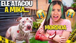 O PITBULL ALBINO CONHECEU A MIKAELLY e quase MORDEU ELA [upl. by Yanttirb]