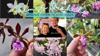 Palmer Orchids Spring Open House Haul 🛍️🪴💕 [upl. by Aiekahs711]