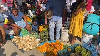 TEMPORADA DE JICAMAS YAM BEAN EN LOS MERCADOS DE GUERRERO MÉXICO 😀🧄🧅🎃 [upl. by Egag48]